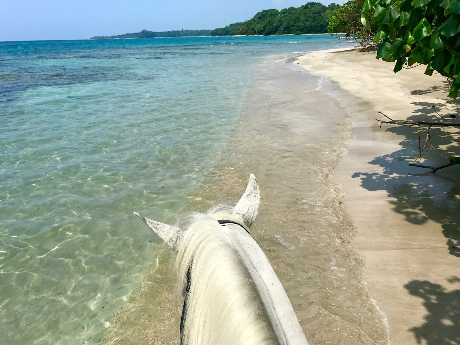 Short Beach & Jungle Ride
