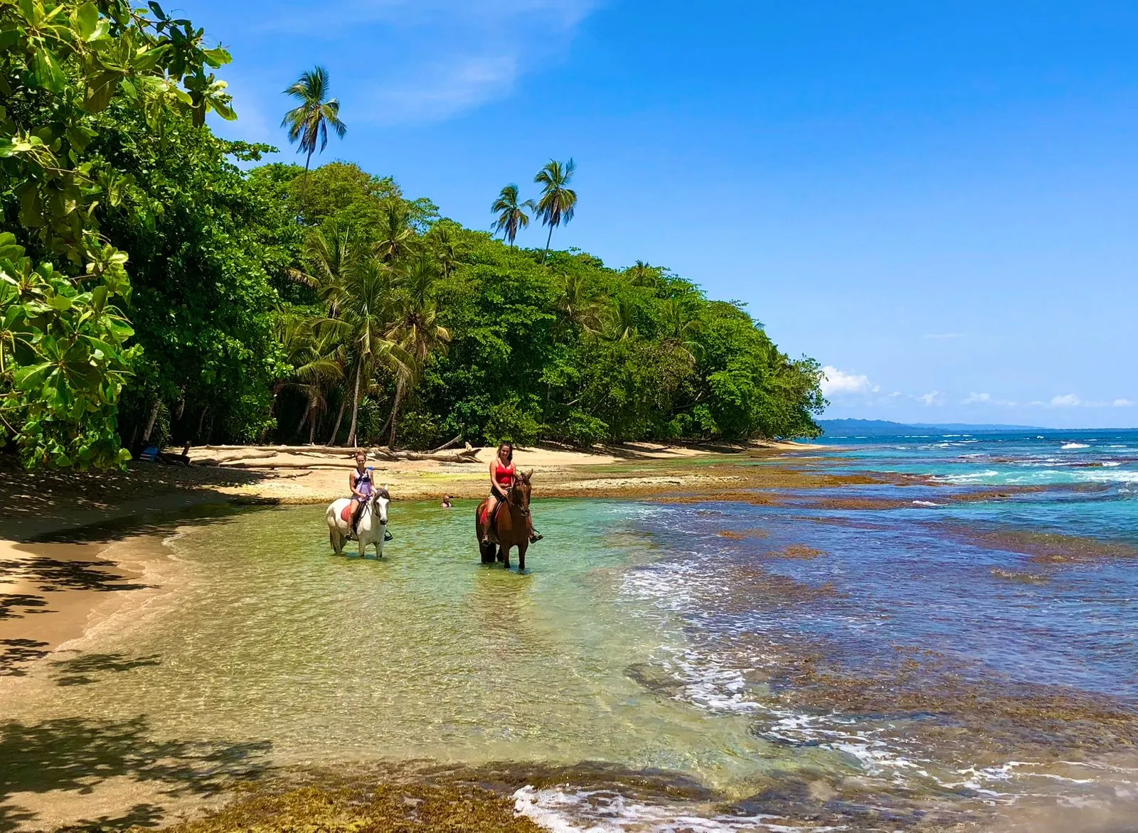 Beach & Rainforest Ride
