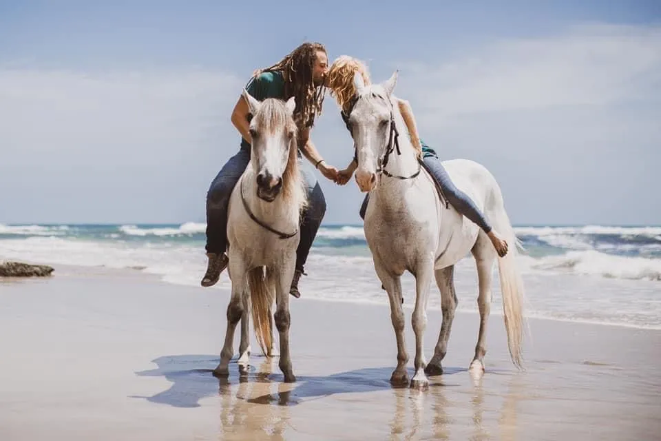 Honeymoon Special: Ride & Relax